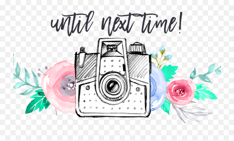Until Next Time Meg And Roe Photography - Mirrorless Camera Png,Pink Camera Icon