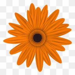 Library Of Orange Flower Clip Art Black - Orange Flower Clipart Png,Orange Flowers Png