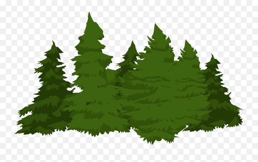 Forest Pine Trees Png Picture - Pine Trees Png Cartoon,Pine Trees Png -  free transparent png images 