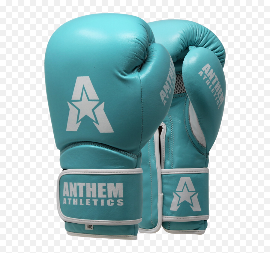 Stormbringer Ii Leather Boxing Muay Thai Gloves - Anthem Boxing Glove Png,Icon Stealth Gloves