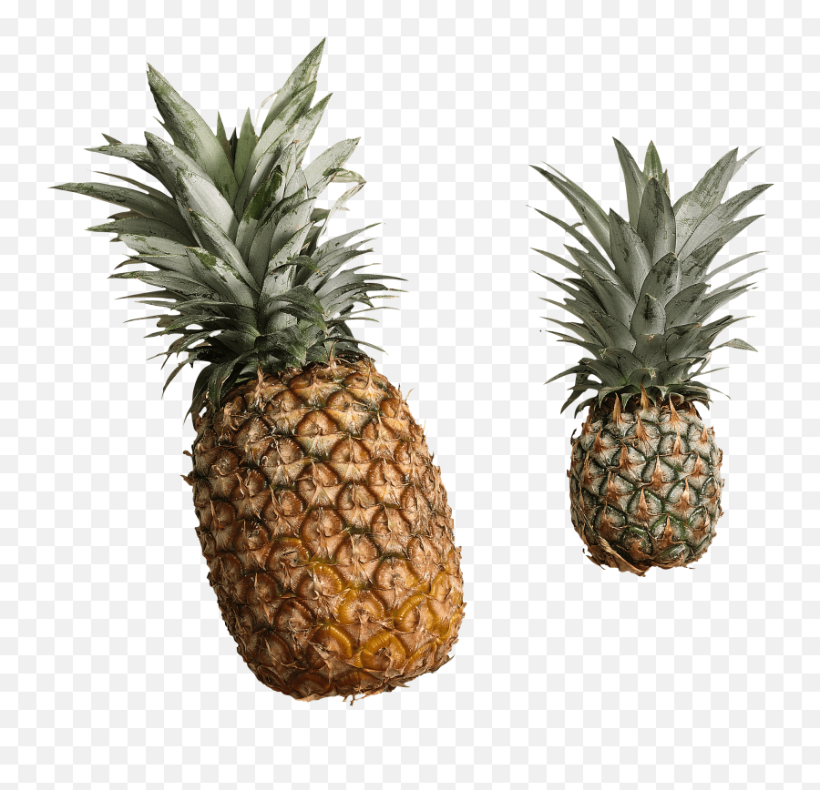 Download Pineapple Png Image With - Ananas Png,Pinapple Png