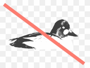 California U2014 Hunt 41 - Portable Network Graphics Png,Duck Hunt Png