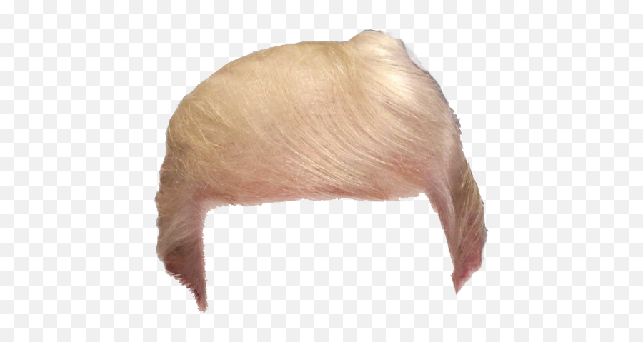 Donald Trump Hair Png Transparent 5 - Trump Hair Png,Trump Transparent Background