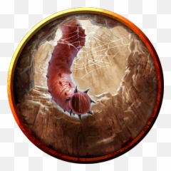 Index Of 5etoolsimgtob 3pp Png Worm