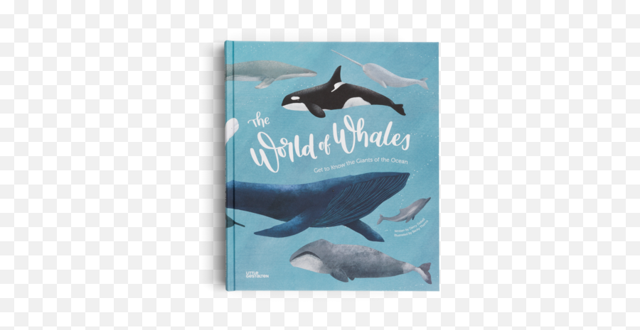 The World Of Whales - The World Of Get To Know The The Ocean Png,Humpback Whale Png