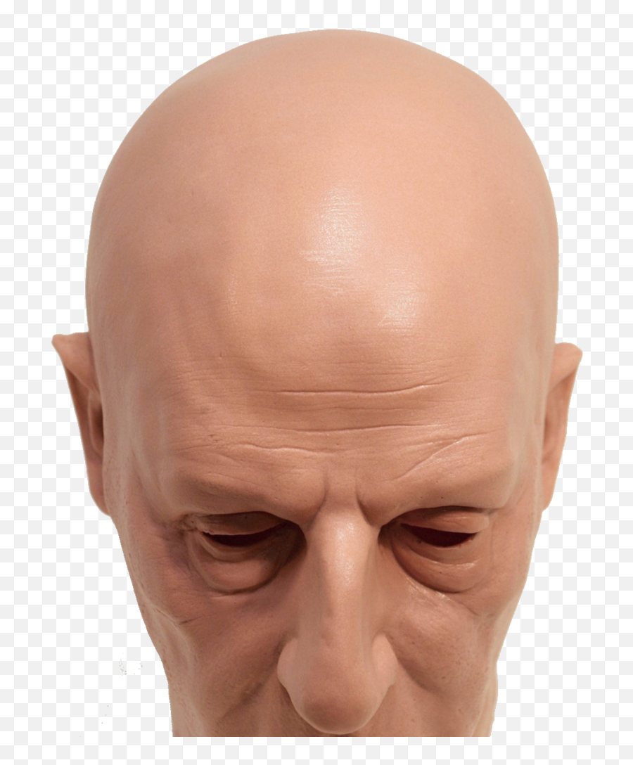 Bald Head Png Picture - Bald Man Head Png,Bald Head Png