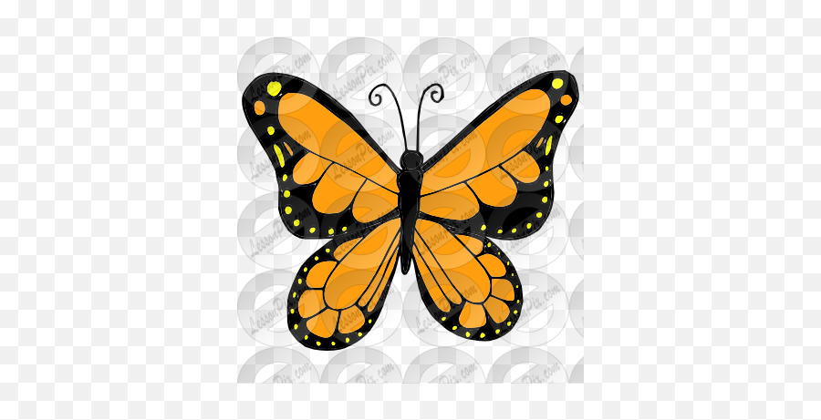 Butterfly Picture For Classroom Therapy Use - Great Small Butterfly Big Butterfly Png,Monarch Butterfly Png