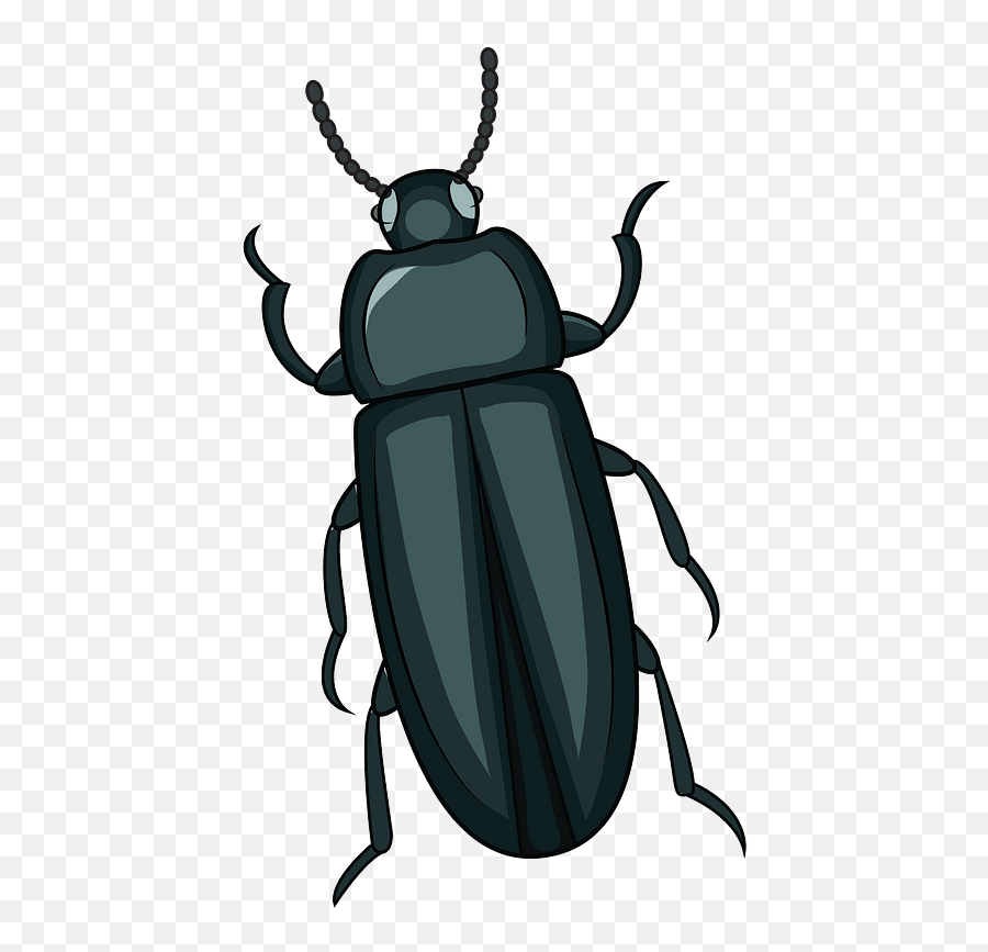 Mealworm Beetle Clipart - Beetle Clipart Png,Beetle Png