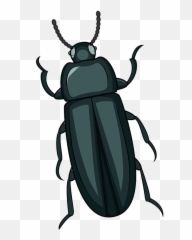 Mealworm Beetle Clipart - Beetle Clipart Png,Beetle Png