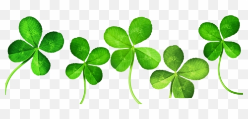 Four - leaf clover Clip art Clover png download 10241024 Leaf Clipart