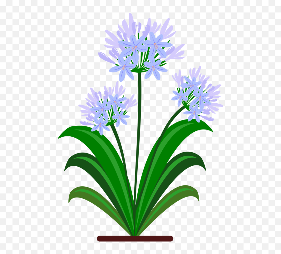 Plantfloraflowerpot Png Clipart - Royalty Free Svg Png Flower Blue Pdf,Flower Pot Png