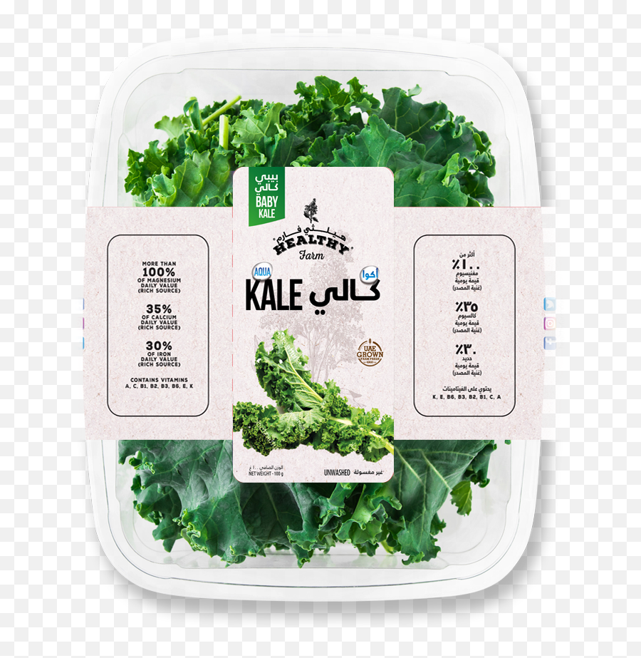Download Spinach Png Image With No - Kale,Spinach Png