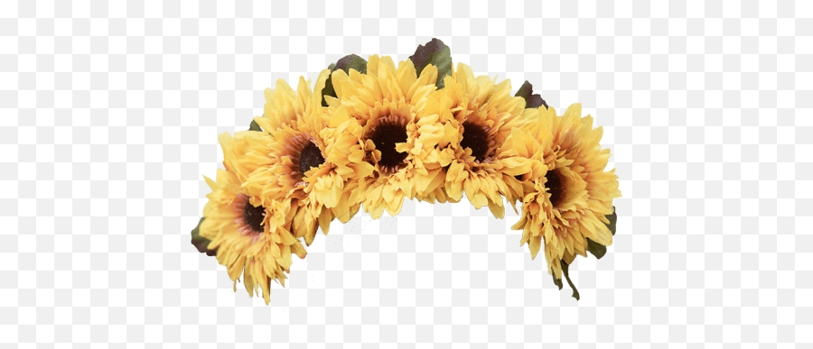 Flower Crown Flowers Yellow Dressup Costume - Artificial Flower Png,Flower Crown Transparent