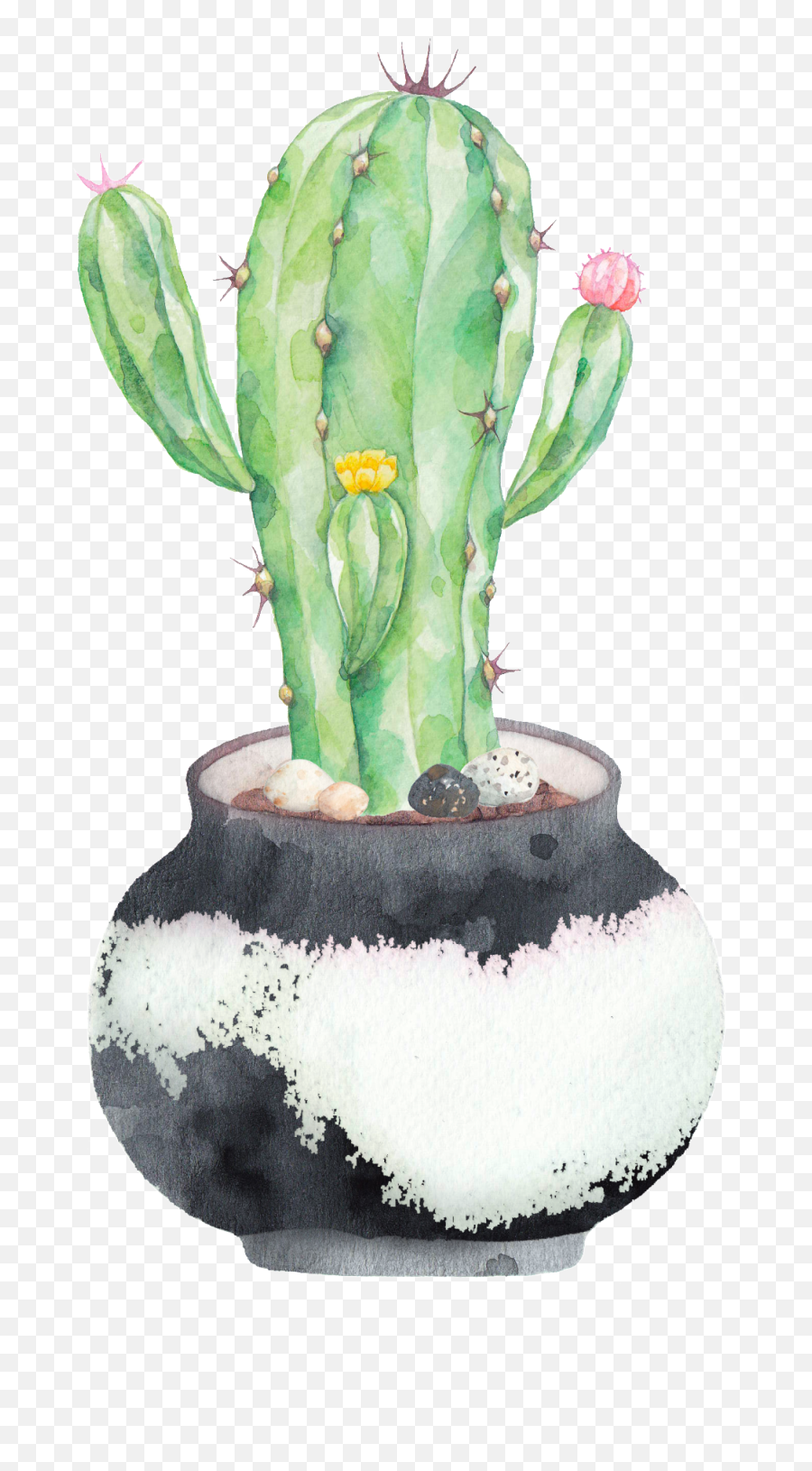 Download Hd Hand Painted A Plate Of Cactus Png Transparent - Potted Cactus Watercolor,Cactus Png