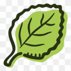 Oregano Leaf Icon Of Colored Outline - Mint Leaf Icon Png,Oregano Png