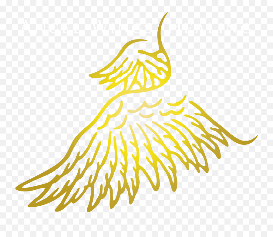 Angel Wings Png - Energy Medicine,Angel Wing Png