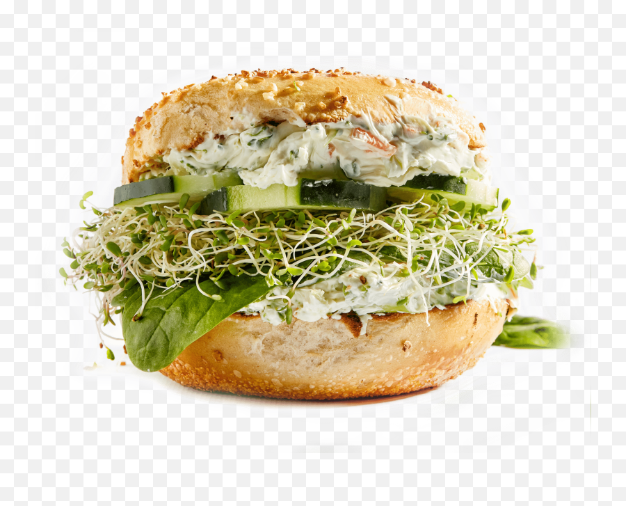 Great Bagel U0026 Bakery - My Wordpress Website Bun Png,Bagel Transparent