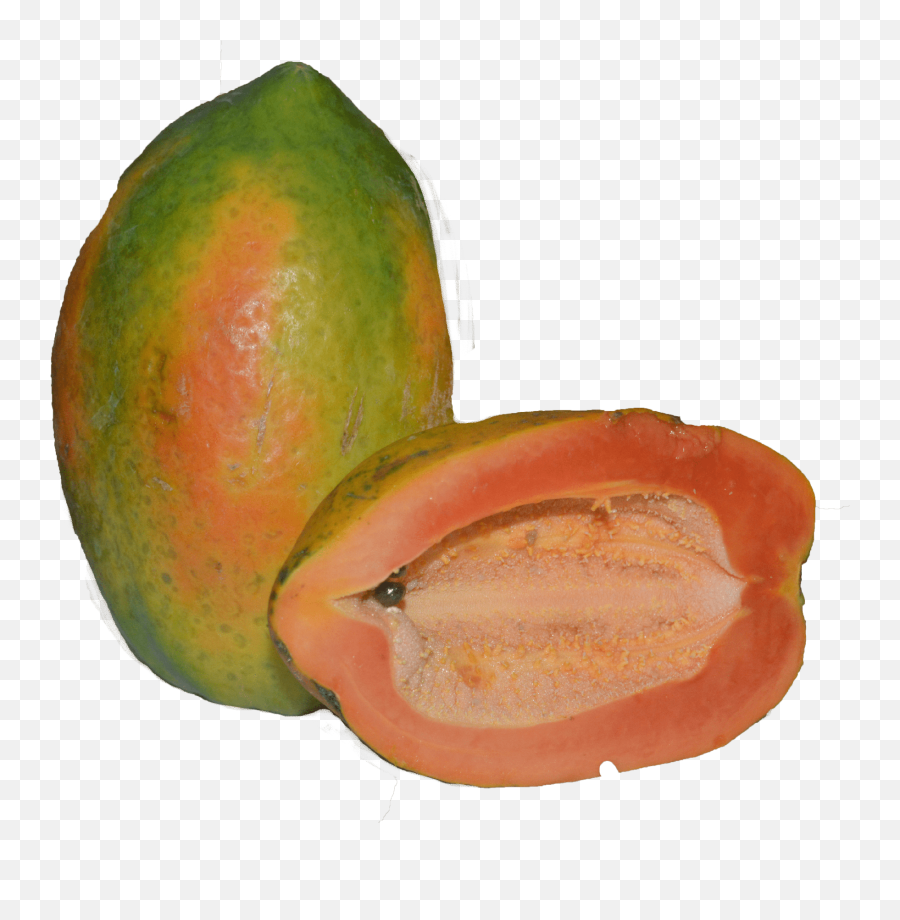 Download Papaya Png Image With No - Fresh,Papaya Png