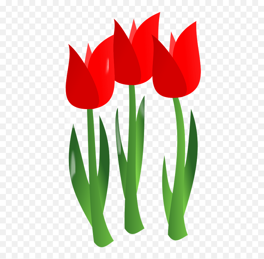 Three Red Tulips - Red Tulips Clip Art Png,Tulips Png