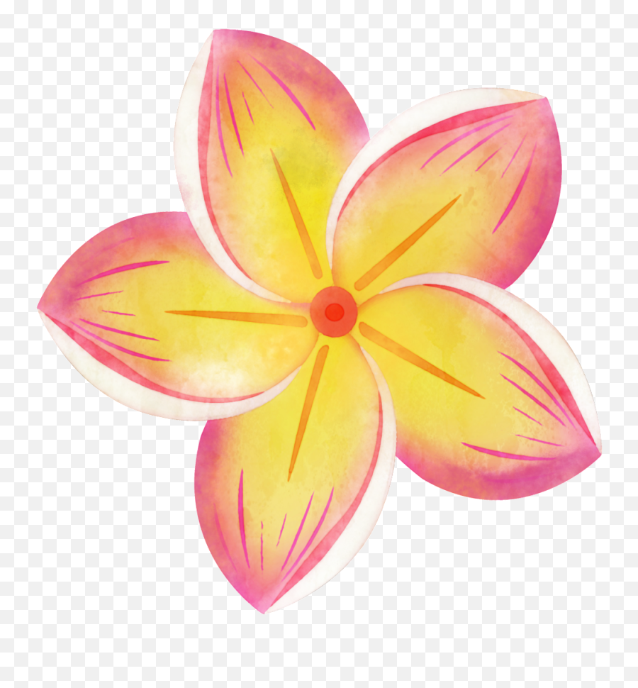 Png Transparent - Tropical Flower Clip Art,Plumeria Png