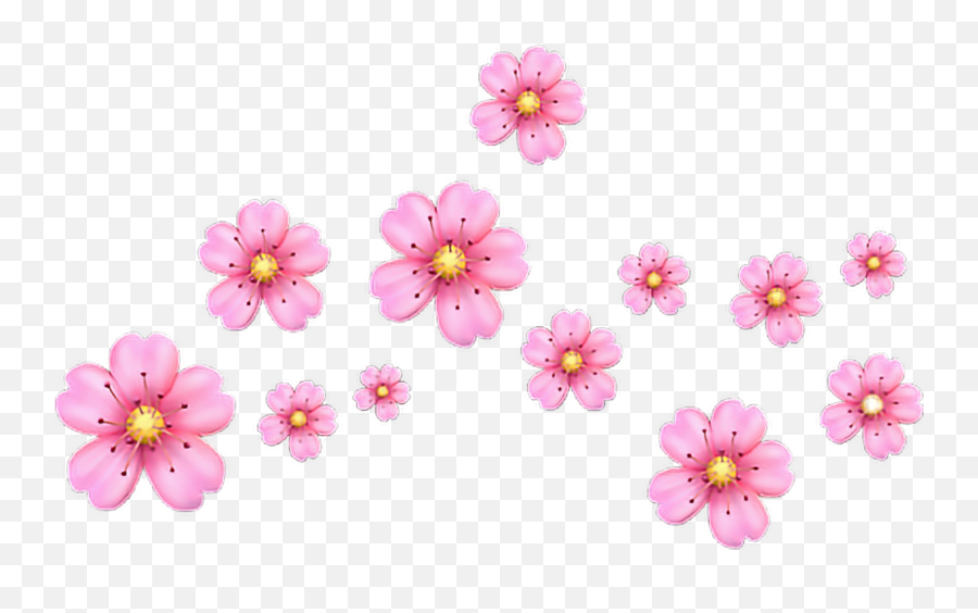 Sticker By Nadyusha - Iphone Pink Flower Emoji High Transparent Flower Crown Emoji Png,Snapchat Flower Crown Png