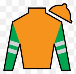 Kentucky Derby Party Decorations - Kentucky Derby Silks 2020 Png,Kentucky Derby Logo 2017