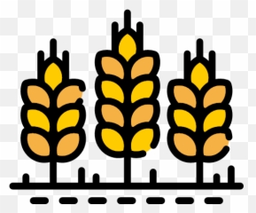 Bakery Svglinecolor Wheat Icon Png