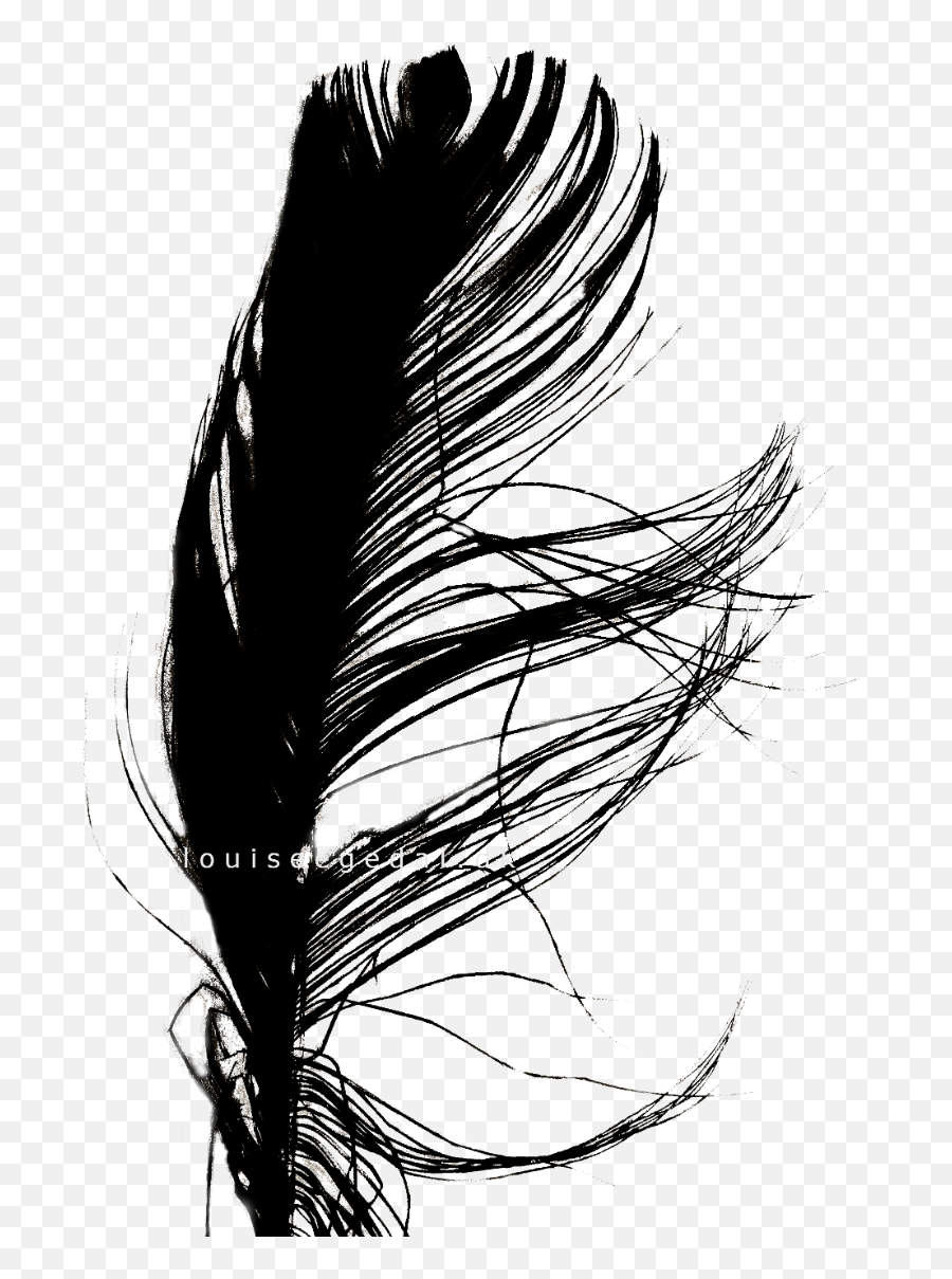 Download Jpg Transparent Stock Interesting Drawing Feather - Ink Png,Feather Drawing Png