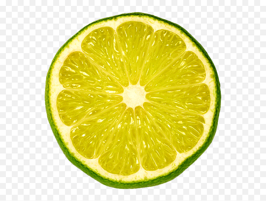 Download Png Library Stock Psd Official - Green Lemon Sliced Png,Lime Slice Png