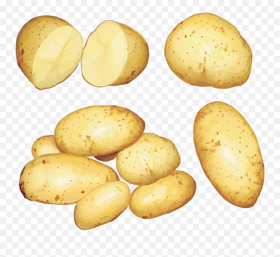 Download Potato Png Images Hq Image In Different - Potato Verdura Dibujo,Potato Png