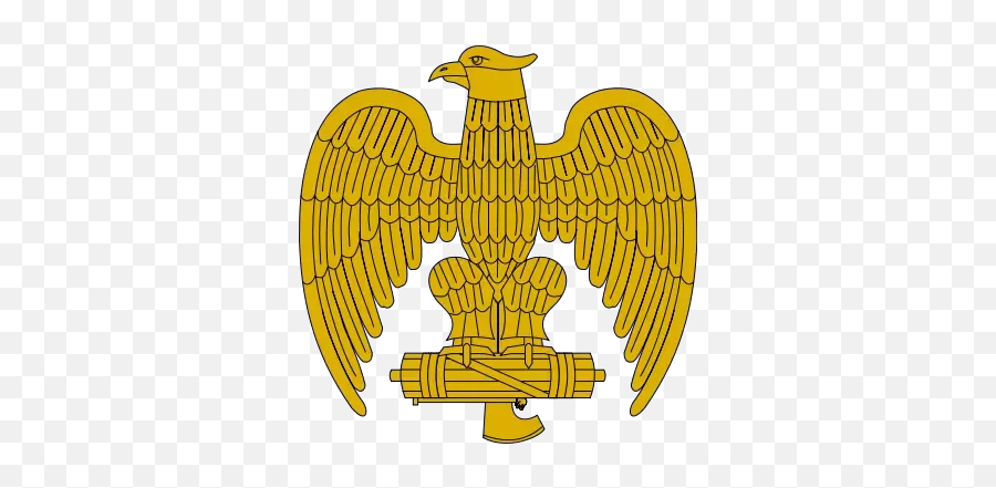 Why Do Military Uniforms Use The Eagle - Fascist Eagle Png,Spread Eagle Icon
