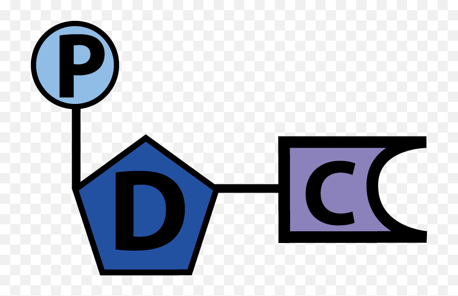 Dna Structure Interactive Tutorial U2013 Learn - Biology Dot Png,Dna Match Icon