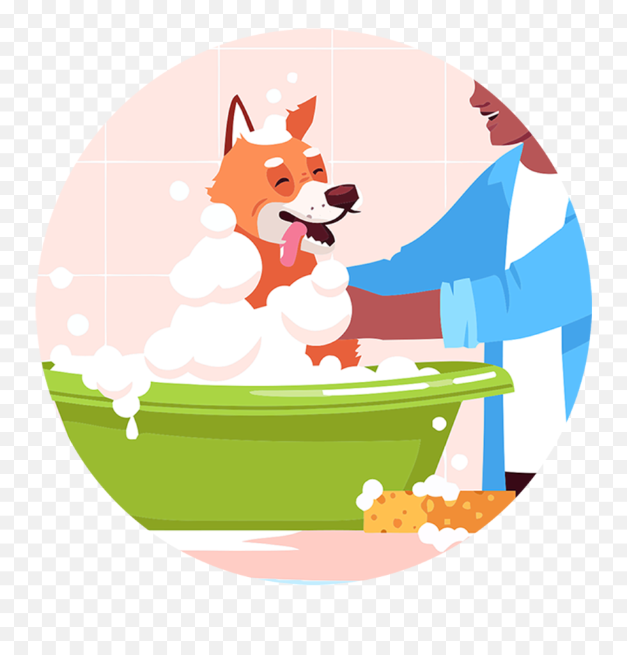 Bath Buddy Soapy Massage Brush U2013 My Perky Pets - Showering Dog Illustration Png,Dog Buddy Icon