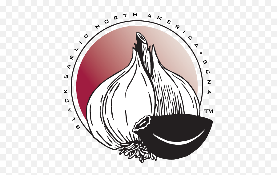 Black Garlic North America - Weu0027ve Changed Our Look Not Scalable Vector Graphics Png,Garlic Icon