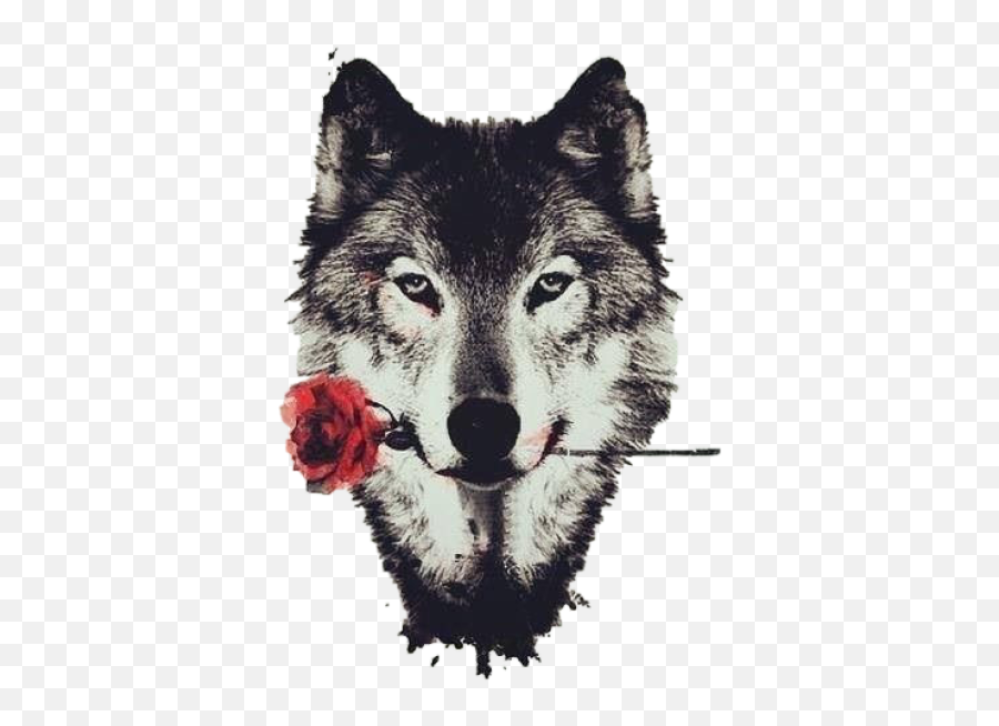 Tumblr Png And Vectors For Free Download - Dlpngcom Wolf Face Tattoo With Rose,Wolf Icon Tumblr