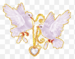 Transparent Dove Tumblr Png