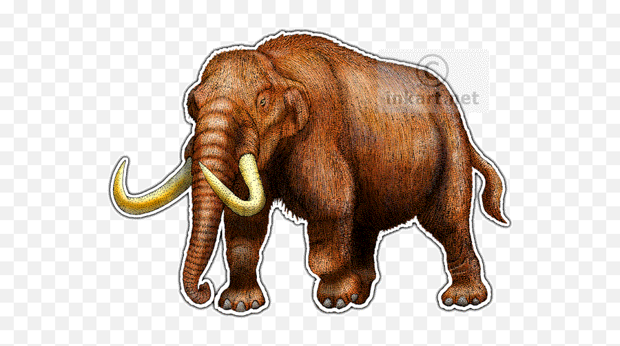 Mastodon Line Art - Mastodon Drawing Png,Mastodon Png