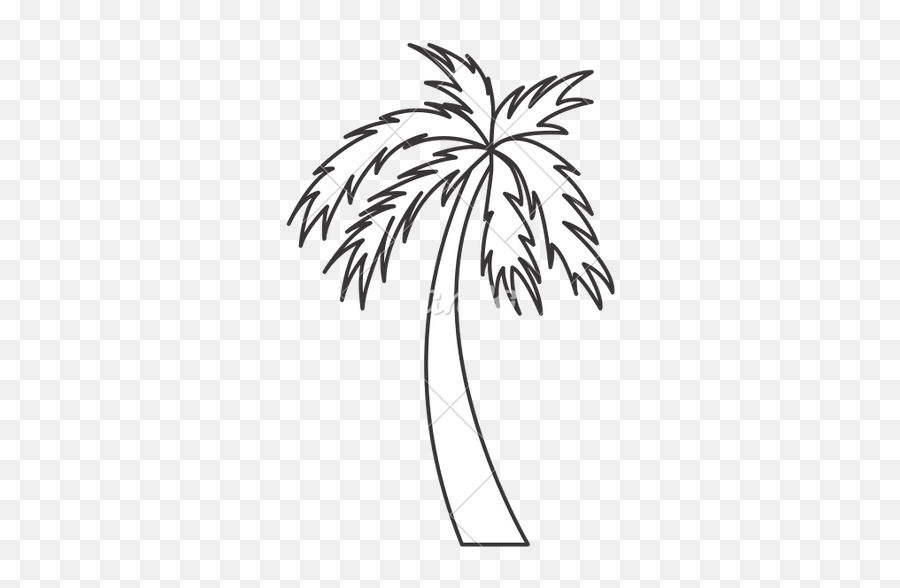 Palm Tree Drawing Png - Palm Tree Icon White Transparent,Palm Trees Transparent Background