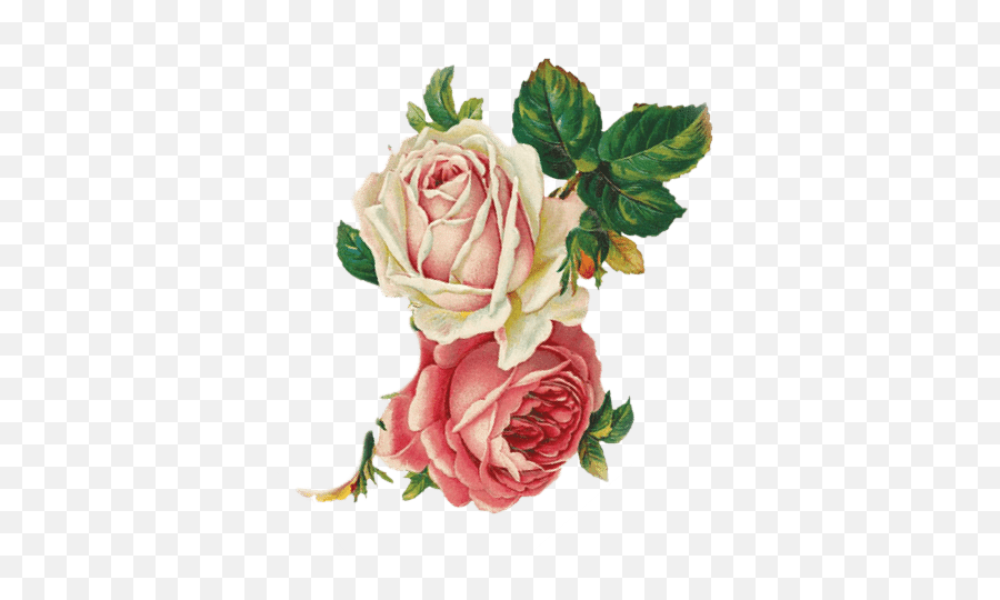 Download Black Flower Crown Transparent - Mockidesigns Floribunda Png,Flower Crown Transparent