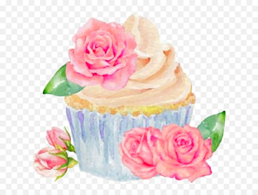Watercolor Cupcake Roses Leaves Sticker By Stephanie - Cupcake With Flowers Watercolor Png,Birthday Cupcake Png