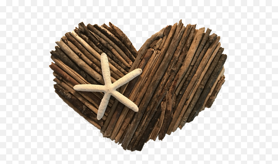 Driftwood Christmas Tree - Wood Png,Driftwood Png