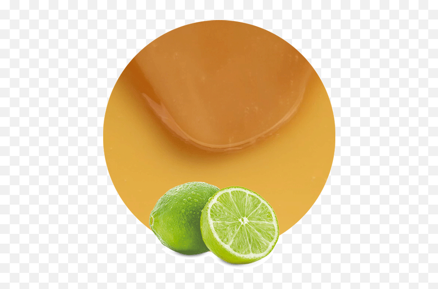 Lime Concentrate - Manufacturer And Supplier Lemonconcentrate Meyer Lemon Png,Lime Transparent