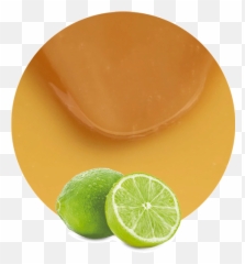 Lime Concentrate - Manufacturer And Supplier Lemonconcentrate Meyer Lemon Png,Lime Transparent