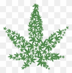 Cannabis Drug Forbidden Hemp - Pot Leaf png