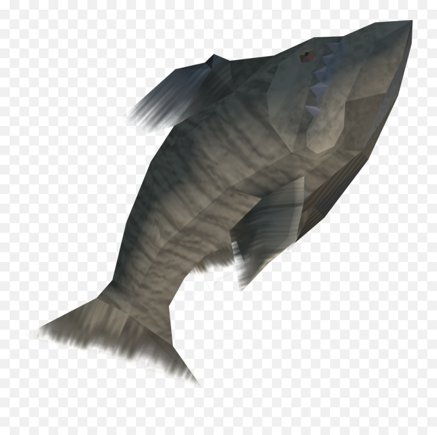 Stone Fish - Stone Fish Png,Fish Scales Png