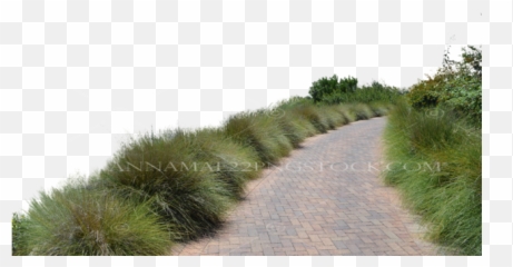 Path - Transparent Dirt Road Png,Walkway Png