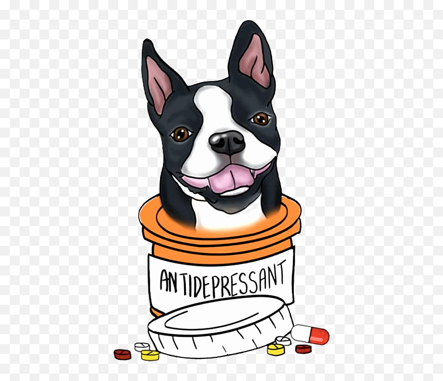 Boston Terrier Antidepressant Medical - Dog Supply Png,Boston Terrier Png