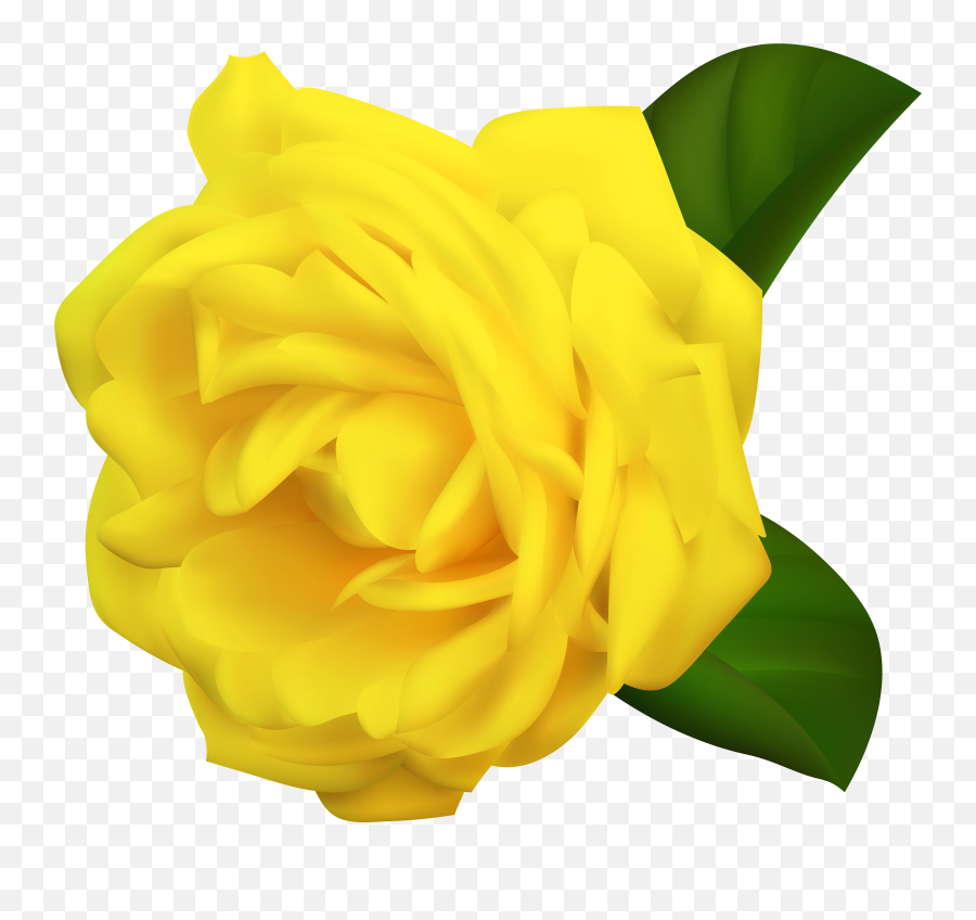 Rose Png Flower Images Free Download - Portable Network Graphics,Yellow Roses Png