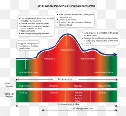Who Global Pandemic Framework - Statistical Graphics Png,Continuum Icon