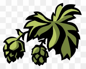 Download Hd Hop Hoodening Canterburys - Hops Clipart Png,Hops Png